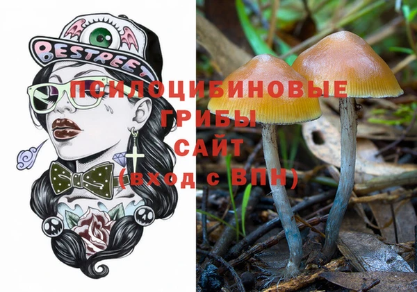 синтетический гашиш Зерноград